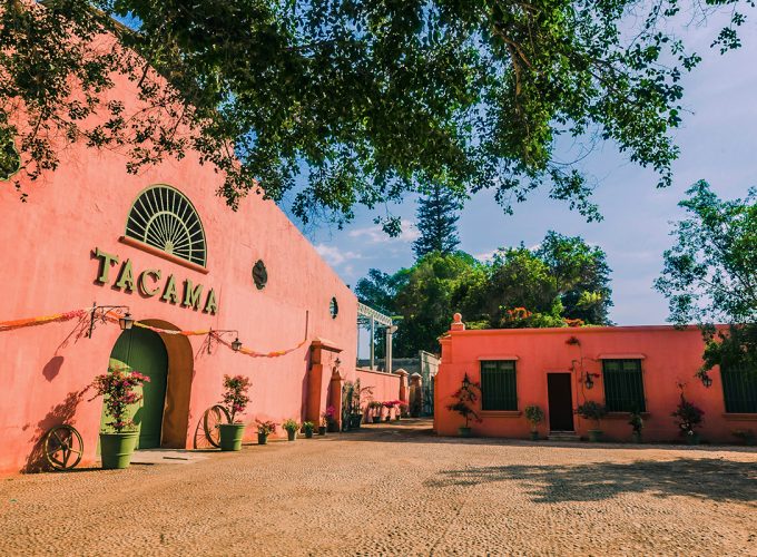 Hacienda-Tacama-La-Primera-Vina-de-Ica